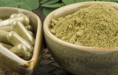 Spoznajte moringo Spoznajte moringo